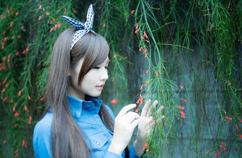 梦之花