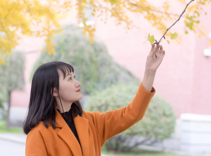 菠萝tv免费版下载相关推荐1