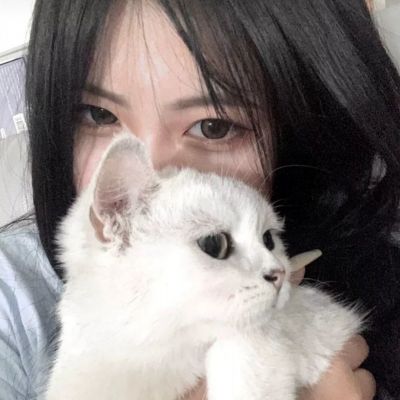 黄色91官方版