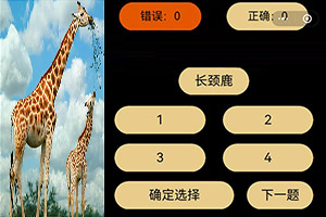 麻豆约拍APP特色