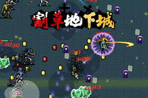 含羞草传媒免费观看