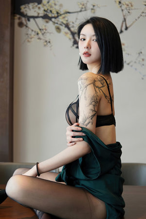 变形金刚地球之战