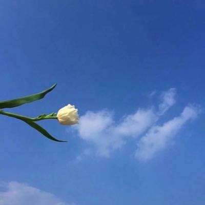 糖心破解版下载