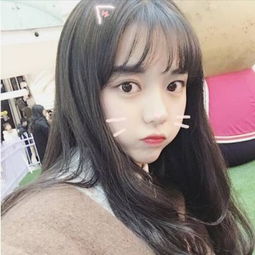 狸猫突击队
