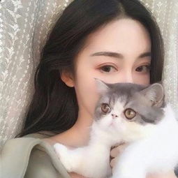十万个冷笑话2手游版