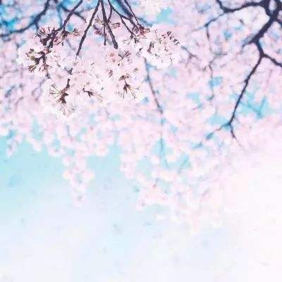 DNF掌游宝