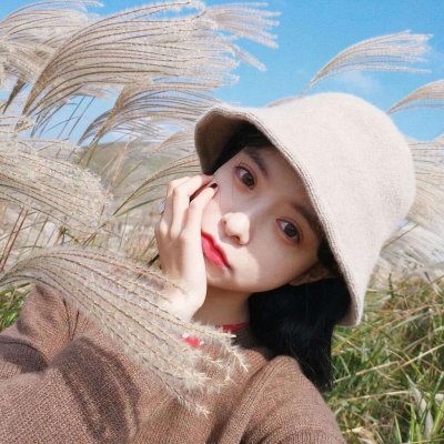 全民刺客破解版