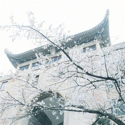 手机阅读《香蕉视频在线下载》