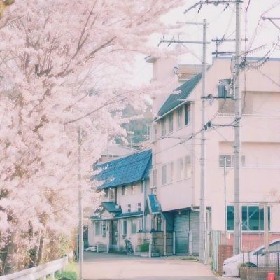 红杏视频最新app