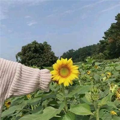 91无码人妻一区二区