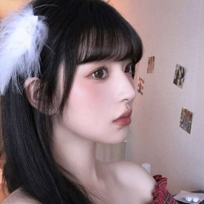 雪鹰领主