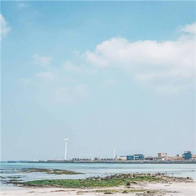 济南一批进口俄罗斯冷冻牛肉检出阳性