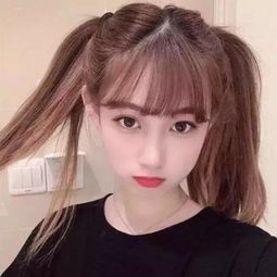 王的骑士