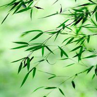 2025“天府菜油”品牌推介会在上海举行,四川油企入沪抢单