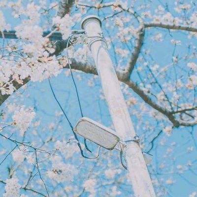 邓哲悦