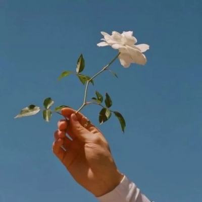 荒野乱斗