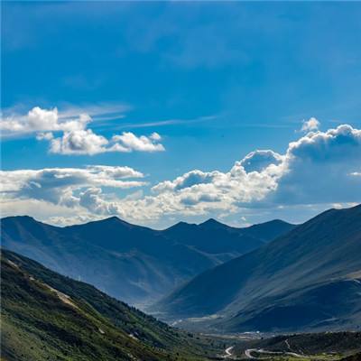 恐怖模拟山羊