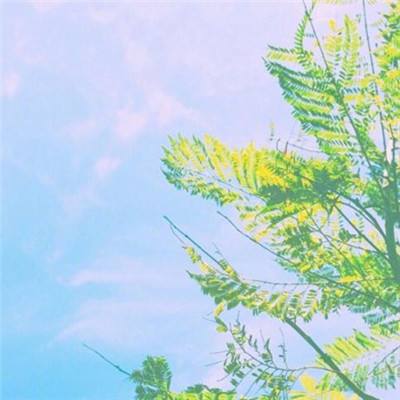 宾果消消乐免费版