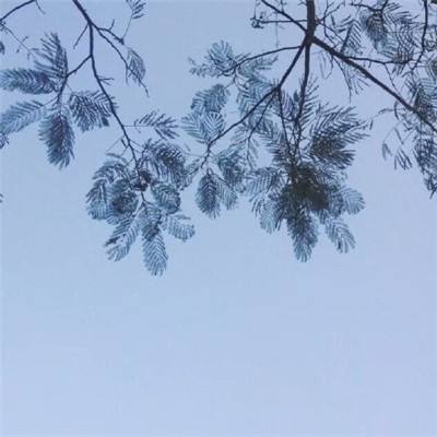 免费行情软件app网站安装正版最新版v5.3.1.0截图4