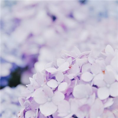 我要西游HD