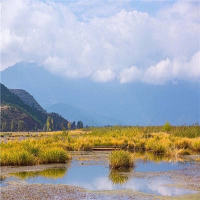 豫北“飞”来后备尖兵
