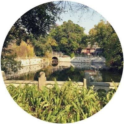 公路骑手破解版无限金币