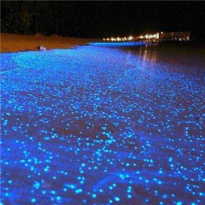 魅影看B站直播