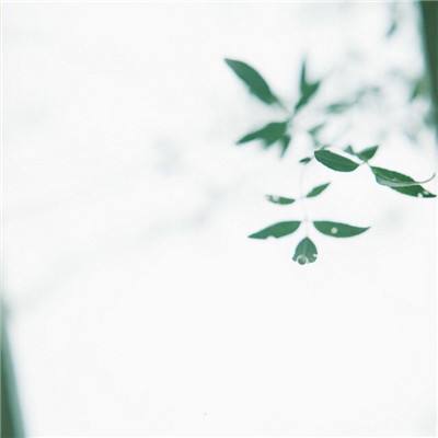桃心APP