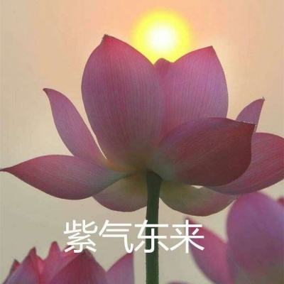 天堂JMCOMICRON.MIC1.7.1特色