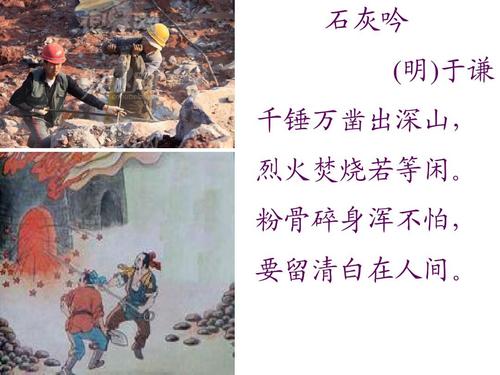 LOL小智直播
